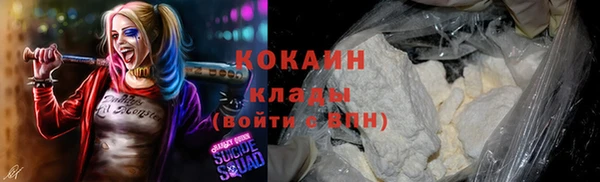 гидра Вязники